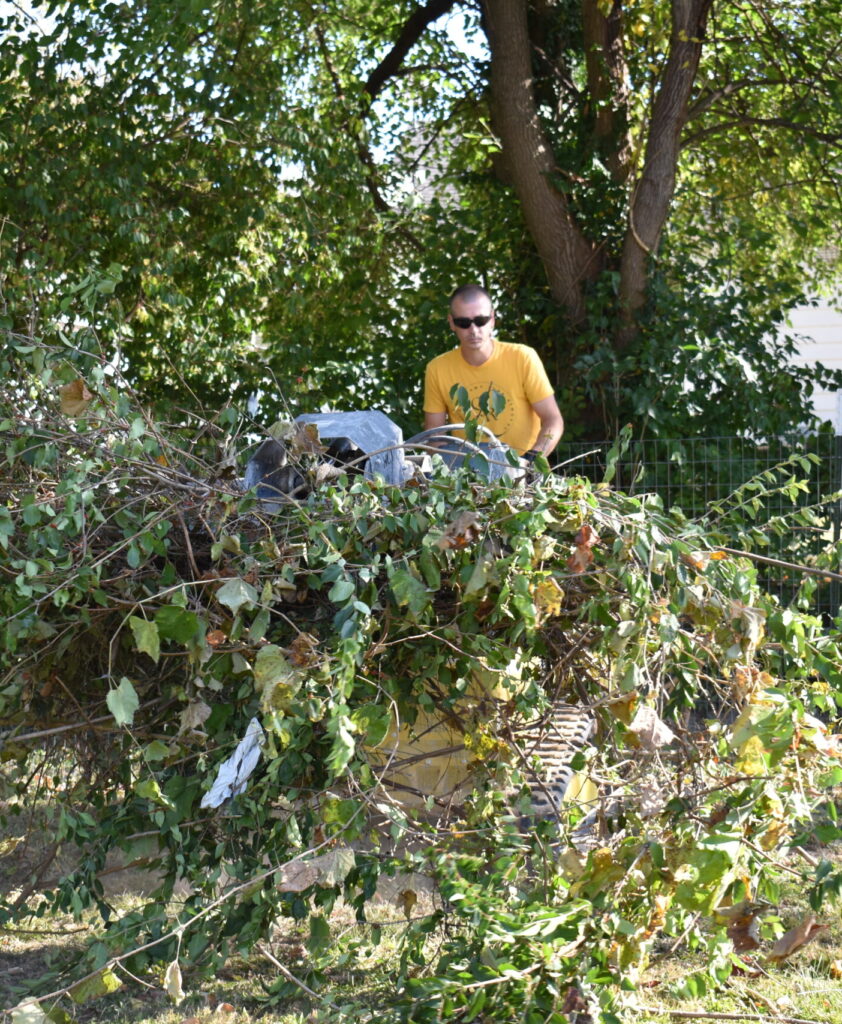 Land clearing St. Charles, MO